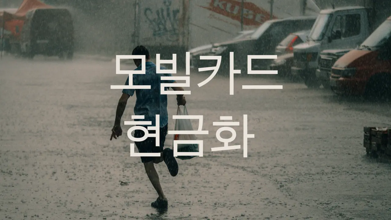 카드사별 현금화 가이드 상세 정보